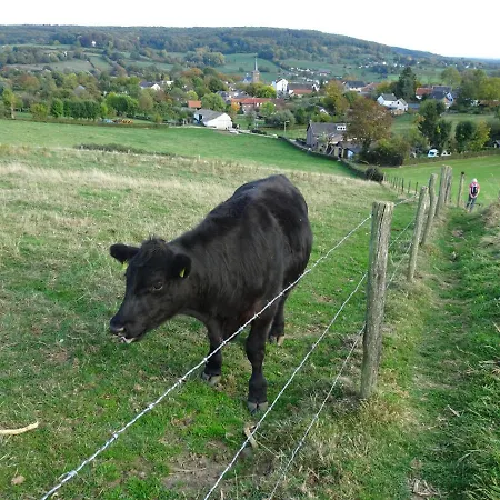 בית נופש Bungalowpark 97