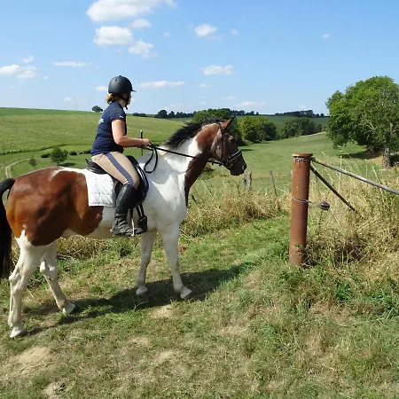 Bungalowpark 97 Vakantiehuis *