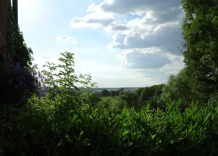 Bungalowpark 97 * Симпелвелд