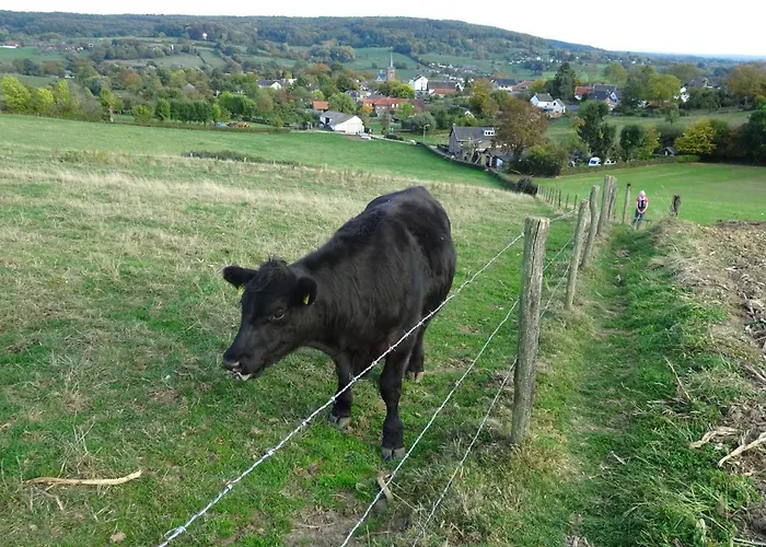 Feriehus Bungalowpark 97